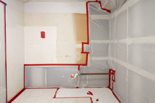 Professional Mold Removal in South Salt Lake, UT